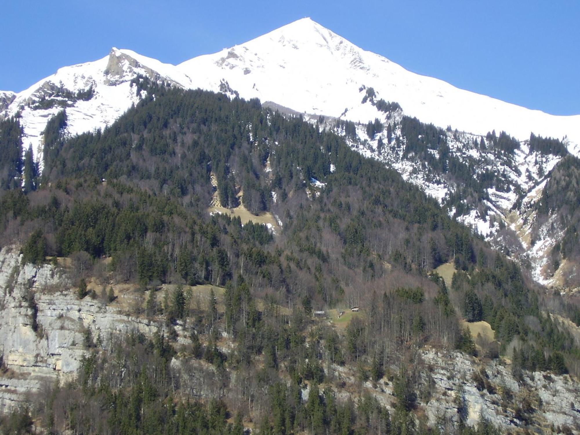 Seeli Hofstetten bei Brienz Exterior foto