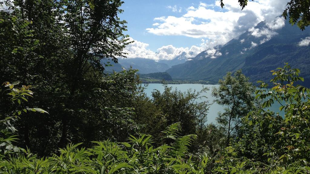 Seeli Hofstetten bei Brienz Quarto foto